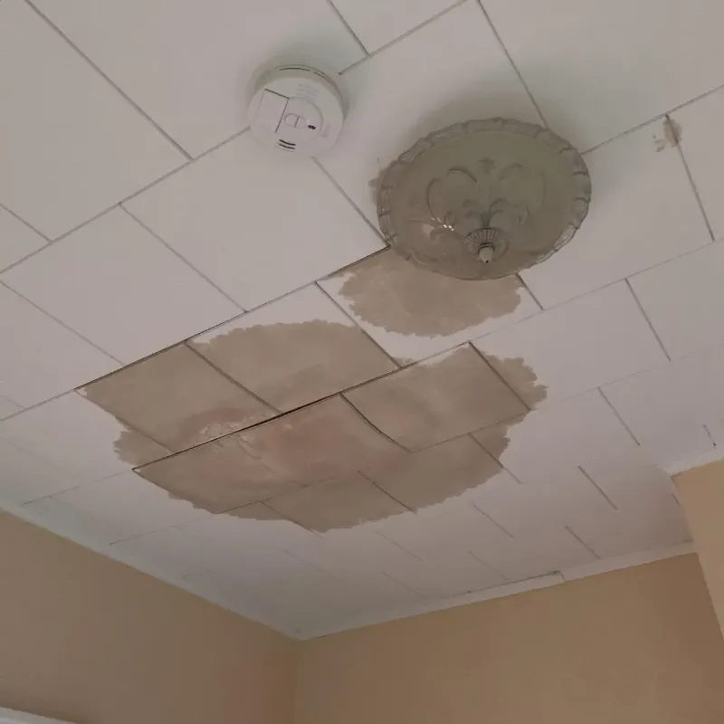 Ceiling Water Damage Repair in Vilas County, WI