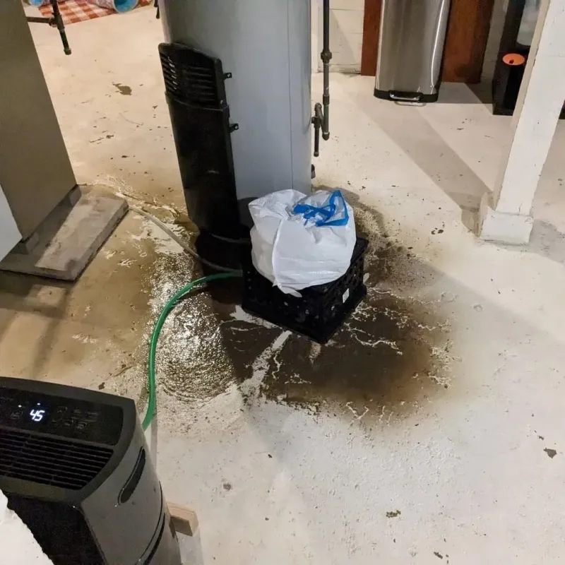 Sewage Backup Cleanup Service in Vilas County, WI